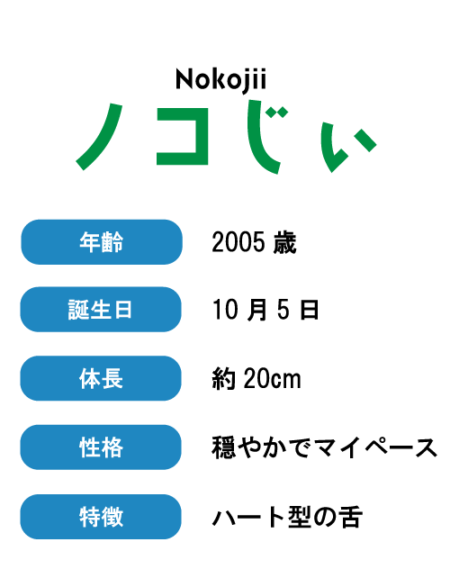 ノコじぃプロフィール